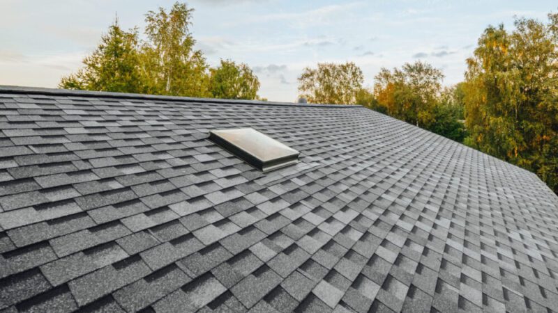 New Malarkey shingle roof with skylight in Santa Clarita, shown clean and well-sealed as part of routine roof maintenance service